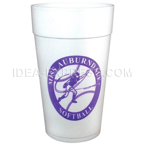 16 oz. Plastic Pint Glass